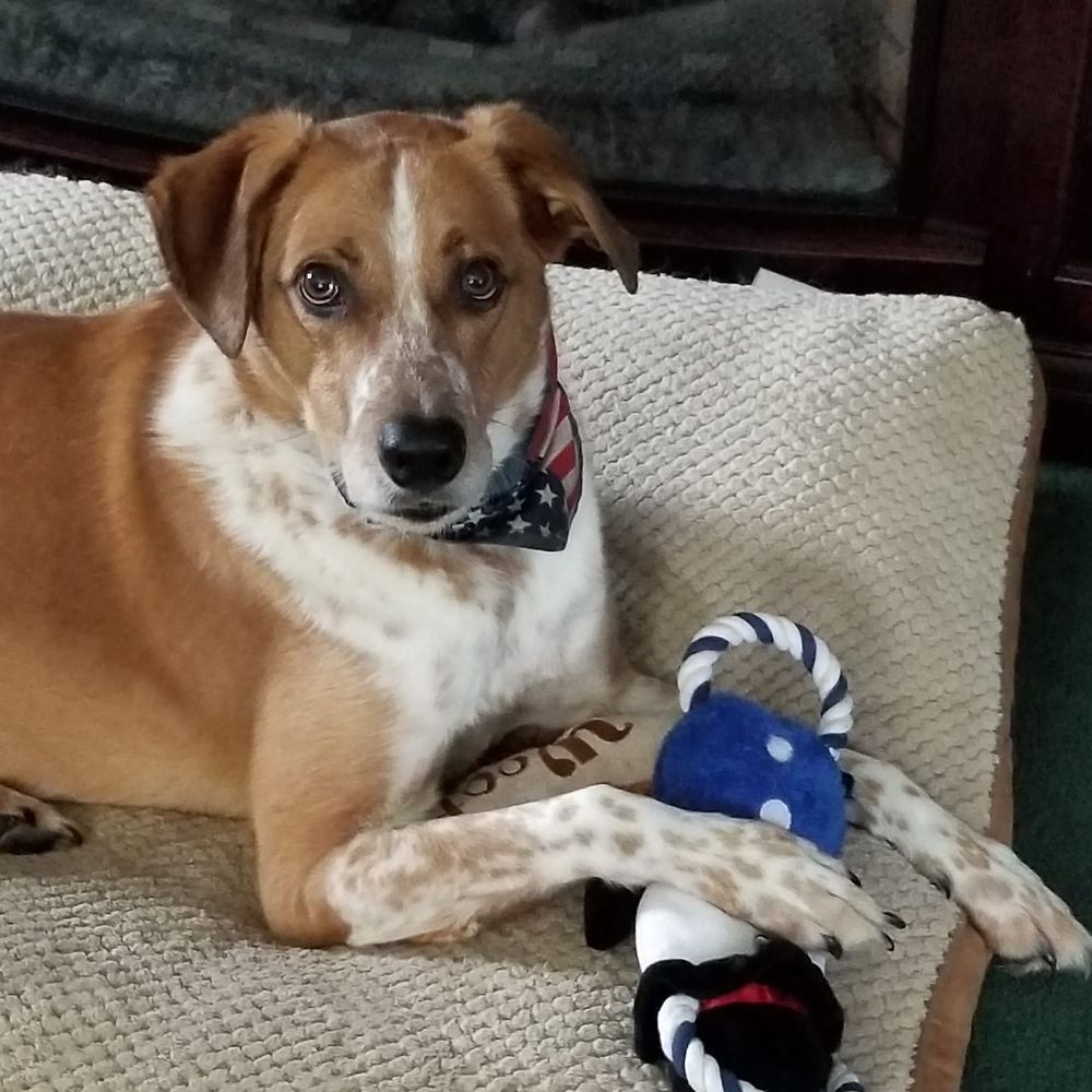 Meet your Posher, Lori